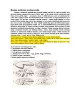 Referāts 'Saules sistēma', 3.