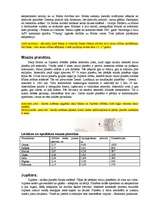 Referāts 'Saules sistēma', 8.