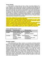 Referāts 'Saules sistēma', 14.