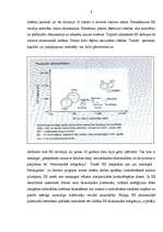 Referāts 'ES un Latvijas ekonomiskā integrācija', 8.