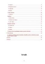 Referāts 'Izplatītākās mūsdienu jauniešu subkultūras', 3.