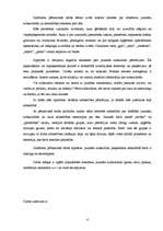 Referāts 'Izplatītākās mūsdienu jauniešu subkultūras', 4.