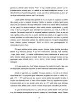 Referāts 'Izplatītākās mūsdienu jauniešu subkultūras', 17.