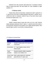 Referāts 'Izplatītākās mūsdienu jauniešu subkultūras', 20.