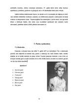 Referāts 'Izplatītākās mūsdienu jauniešu subkultūras', 28.