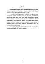 Referāts 'Birokrātija kā formāla organizācija', 3.