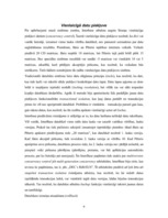 Referāts 'InterBase datubāzes sistēma', 6.