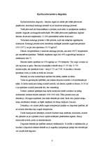 Referāts 'Degmaisījuma veidošanās un sastāvs benzīnmotoros ', 4.