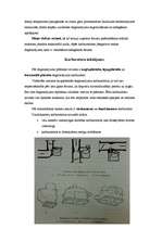 Referāts 'Degmaisījuma veidošanās un sastāvs benzīnmotoros ', 11.