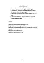 Referāts 'Degmaisījuma veidošanās un sastāvs benzīnmotoros ', 14.