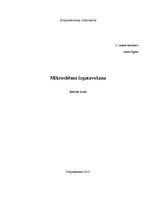 Referāts 'Mikroshēmu izgatavošana', 1.