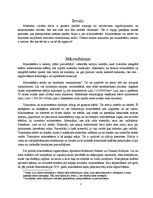 Referāts 'Mikroshēmu izgatavošana', 3.