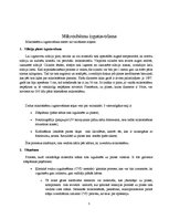 Referāts 'Mikroshēmu izgatavošana', 5.