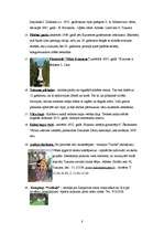 Referāts 'Ceļojam Tukuma rajonā', 8.