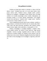 Referāts 'Kultūras vēstures priekšmets', 7.