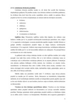 Referāts 'Būvēm uzstādāmās prasības noteikumos, likumos un standartos', 8.