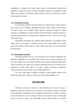 Referāts 'Būvēm uzstādāmās prasības noteikumos, likumos un standartos', 13.