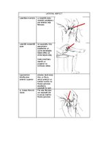 Konspekts 'Palpacijas pamatprincipi', 12.