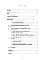 Referāts 'Ieguldījumu fondu efektivitātes salīdzinājums', 2.