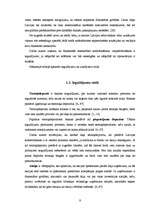 Referāts 'Ieguldījumu fondu efektivitātes salīdzinājums', 9.