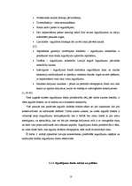 Referāts 'Ieguldījumu fondu efektivitātes salīdzinājums', 13.