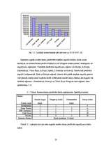 Referāts 'Ieguldījumu fondu efektivitātes salīdzinājums', 23.
