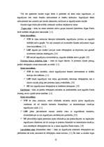 Referāts 'Ieguldījumu fondu efektivitātes salīdzinājums', 32.