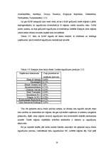 Referāts 'Ieguldījumu fondu efektivitātes salīdzinājums', 38.