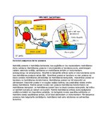 Referāts 'Loka metināšana', 8.