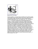 Referāts 'Loka metināšana', 9.