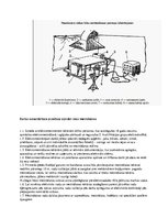 Referāts 'Loka metināšana', 10.