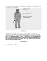 Referāts 'Loka metināšana', 12.