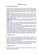 Referāts 'Runas prasmju attīstības iespējas un vingrinājumi elpošanā', 3.