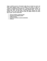 Paraugs 'Praktiskais darbs mācību priekšmetā "Operētājsistēmas"', 4.