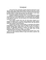 Paraugs 'Praktiskais darbs mācību priekšmetā "Operētājsistēmas"', 33.