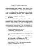 Prakses atskaite 'Viesnīcas "Amrita" prakses atskaite', 13.