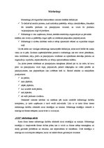 Referāts 'SIA "Izzi" mārketings', 3.