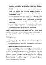 Referāts 'SIA "Izzi" mārketings', 4.