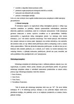 Referāts 'SIA "Izzi" mārketings', 5.