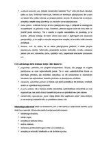 Referāts 'SIA "Izzi" mārketings', 8.