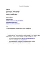 Referāts 'SIA "Izzi" mārketings', 10.