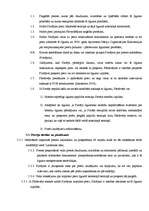 Paraugs 'Ārējās tirdzniecības kontrakts ', 6.