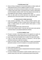 Paraugs 'Ārējās tirdzniecības kontrakts ', 9.