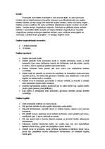 Konspekts 'Stafete sportā', 2.