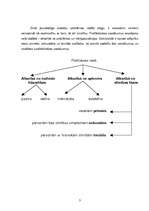 Referāts 'Preventīvā onkoloģija', 3.