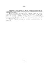 Referāts 'Sintētisko un analītisko kontu kopsakarība', 2.