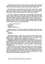 Referāts 'Sintētisko un analītisko kontu kopsakarība', 3.