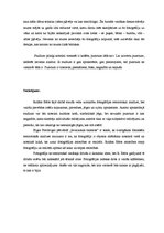 Eseja 'Rolāns Barts "Camera lucida: piezīme par fotogrāfiju"', 6.