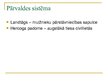 Prezentācija 'Pārvalde un likumi Kurzemes un Zemgales hercogistē 17., 18.gadsimtā', 6.