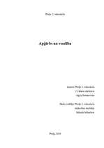 Referāts 'Apģērbs un veselība', 1.